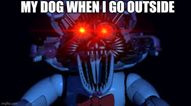 *Aggressively barks* | MY DOG WHEN I GO OUTSIDE | made w/ Imgflip meme maker