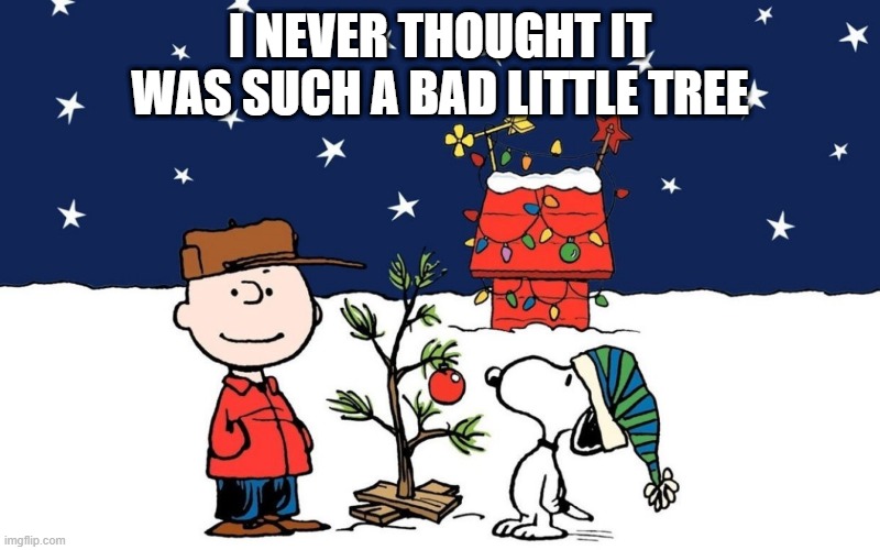 Charlie Brown Christmas | I NEVER THOUGHT IT WAS SUCH A BAD LITTLE TREE | image tagged in classic cartoons | made w/ Imgflip meme maker