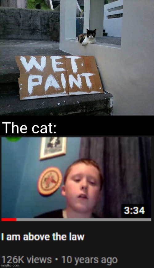 Rebellious cat | The cat: | image tagged in i'm above the law,cat,wet paint,memes,reposts,repost | made w/ Imgflip meme maker