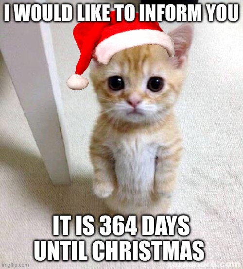 Christmas is right around the corner folks! | I WOULD LIKE TO INFORM YOU; IT IS 364 DAYS UNTIL CHRISTMAS | image tagged in memes,cute cat | made w/ Imgflip meme maker