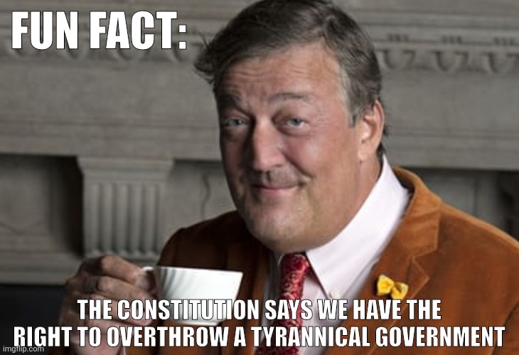 It's our duty technically. | FUN FACT:; THE CONSTITUTION SAYS WE HAVE THE RIGHT TO OVERTHROW A TYRANNICAL GOVERNMENT | image tagged in did you know | made w/ Imgflip meme maker