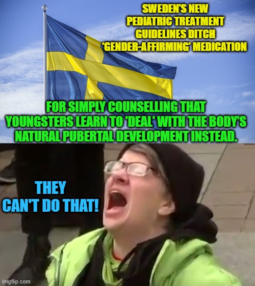 Color me . . . surprised. | SWEDEN’S NEW PEDIATRIC TREATMENT GUIDELINES DITCH ‘GENDER-AFFIRMING’ MEDICATION; FOR SIMPLY COUNSELLING THAT YOUNGSTERS LEARN TO 'DEAL' WITH THE BODY’S NATURAL PUBERTAL DEVELOPMENT INSTEAD. THEY CAN'T DO THAT! | image tagged in surprise | made w/ Imgflip meme maker