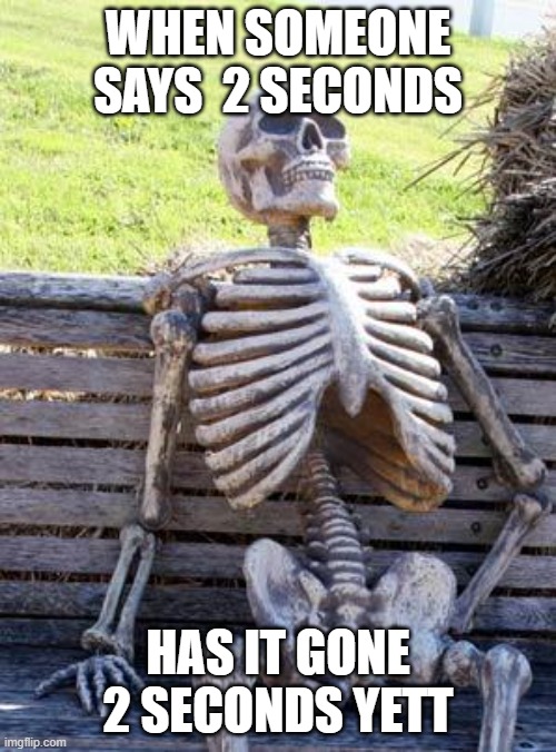Waiting Skeleton Meme | WHEN SOMEONE SAYS  2 SECONDS; HAS IT GONE 2 SECONDS YETT | image tagged in memes,waiting skeleton | made w/ Imgflip meme maker
