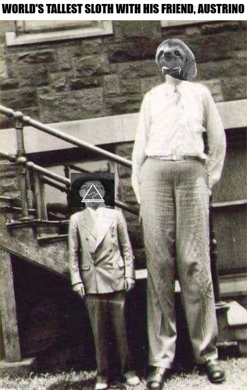 CIRCUS IN TOWN. WORLD'S TALLEST SLOTH. MUST-SEE. COME TO BIG TENT. TICKETS 5 CENTS. | WORLD'S TALLEST SLOTH WITH HIS FRIEND, AUSTRINO | image tagged in sloth as the worlds tallest man,big tent alliance,sloth,big,tent,energy | made w/ Imgflip meme maker