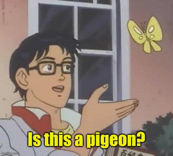 Is This A Pigeon | Is this a pigeon? | image tagged in memes,is this a pigeon,funny,anti-meme | made w/ Imgflip meme maker
