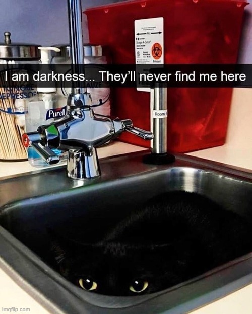 black cat hiding in the sink | image tagged in cats | made w/ Imgflip meme maker