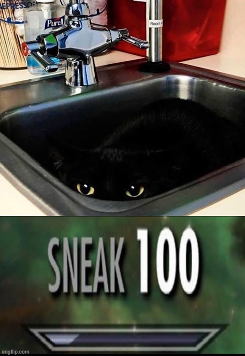 black cat hiding in the sink | image tagged in sneak 100 | made w/ Imgflip meme maker