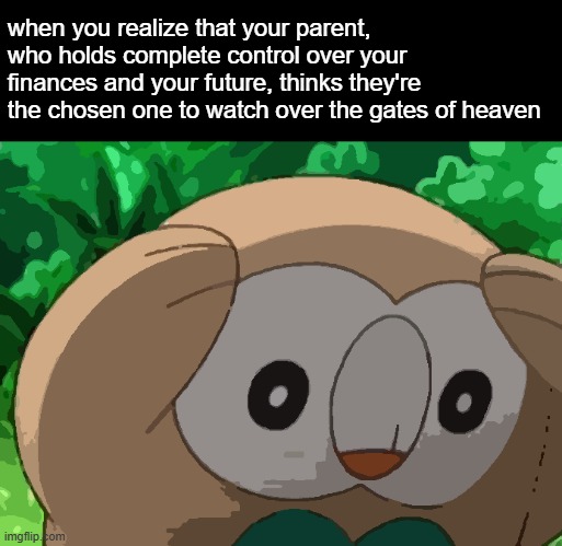 Distressed Rowlet | when you realize that your parent, who holds complete control over your finances and your future, thinks they're the chosen one to watch over the gates of heaven | image tagged in distressed rowlet | made w/ Imgflip meme maker