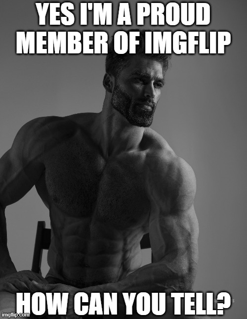 read the tags | YES I'M A PROUD MEMBER OF IMGFLIP; HOW CAN YOU TELL? | image tagged in giga chad,why did i make this,imgflip,imgflip unite | made w/ Imgflip meme maker
