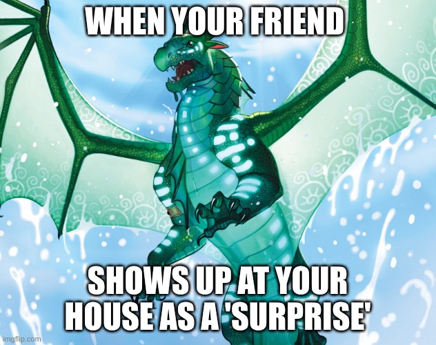 Dragon from Wings of Fire | WHEN YOUR FRIEND; SHOWS UP AT YOUR HOUSE AS A 'SURPRISE' | image tagged in dragon from wings of fire | made w/ Imgflip meme maker
