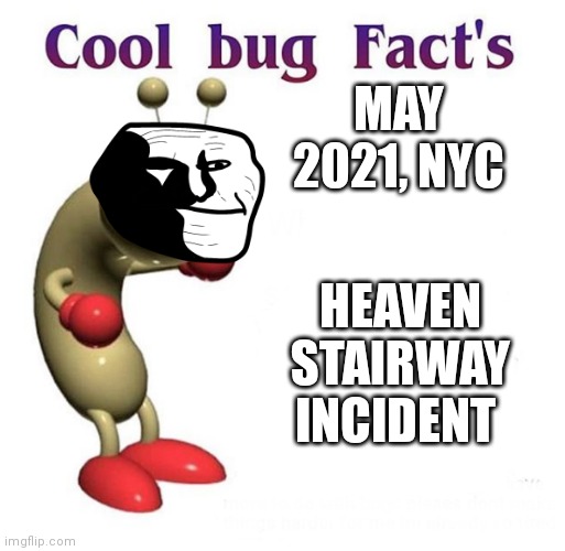 Cool Trollge Fact's | MAY 2021, NYC; HEAVEN STAIRWAY INCIDENT | image tagged in cool bug facts,heaven's stairway,incident,trollge | made w/ Imgflip meme maker