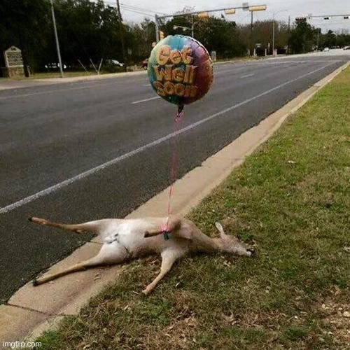 get well soon | image tagged in get well soon,deer | made w/ Imgflip meme maker