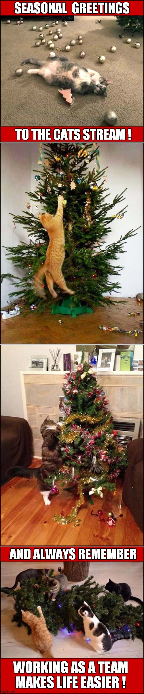 Those Trees Were Asking For It ! | SEASONAL  GREETINGS; TO THE CATS STREAM ! AND ALWAYS REMEMBER; WORKING AS A TEAM MAKES LIFE EASIER ! | image tagged in cats,christmas tree,destruction | made w/ Imgflip meme maker