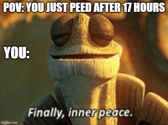 True | POV: YOU JUST PEED AFTER 17 HOURS; YOU: | image tagged in finally inner peace,true,relatable | made w/ Imgflip meme maker