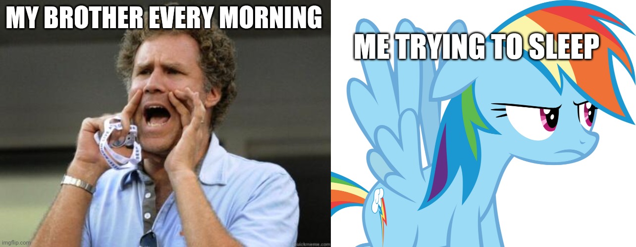 Siblings, am I right? | ME TRYING TO SLEEP; MY BROTHER EVERY MORNING | image tagged in yelling,annoyed rainbow dash mlp | made w/ Imgflip meme maker