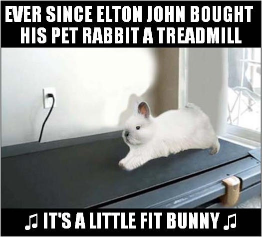 Try Not To Sing .... | EVER SINCE ELTON JOHN BOUGHT 
HIS PET RABBIT A TREADMILL; ♫ IT'S A LITTLE FIT BUNNY ♫ | image tagged in elton john,rabbit,song lyrics | made w/ Imgflip meme maker