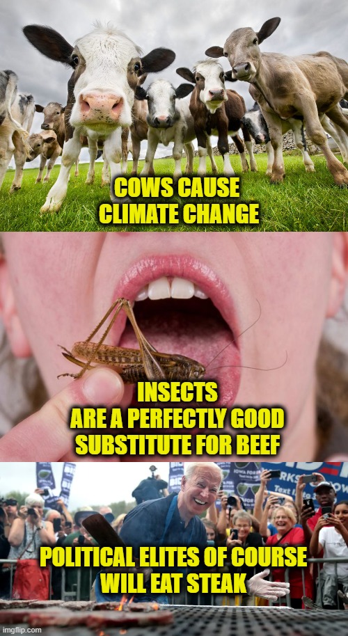 Cow Farts |  COWS CAUSE
 CLIMATE CHANGE; INSECTS
ARE A PERFECTLY GOOD
SUBSTITUTE FOR BEEF; POLITICAL ELITES OF COURSE
WILL EAT STEAK | made w/ Imgflip meme maker