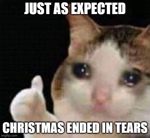 it was so loud...so many people... | JUST AS EXPECTED; CHRISTMAS ENDED IN TEARS | image tagged in approved crying cat | made w/ Imgflip meme maker