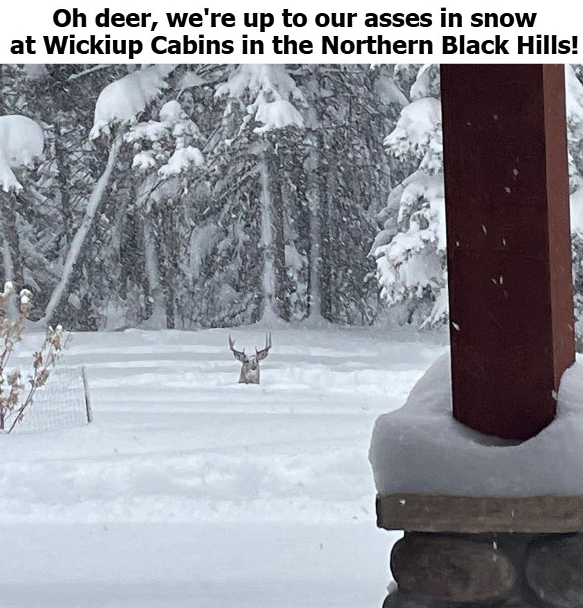 Oh deer, we're up to our asses in snow at Wickiup Cabins in the Northern Black Hills! | image tagged in oh dear,oh deer,snow joke,up to our asses,black hills,south dakota | made w/ Imgflip meme maker