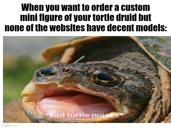 D&D meme |  When you want to order a custom mini figure of your tortle druid but none of the websites have decent models: | image tagged in dungeons and dragons,custom template | made w/ Imgflip meme maker