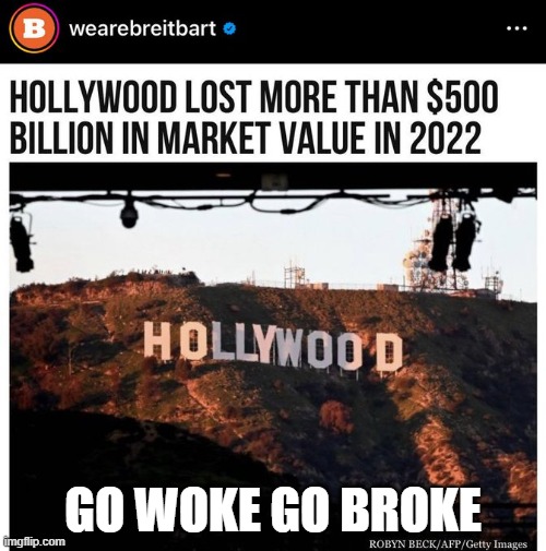 Go Woke Go Broke | GO WOKE GO BROKE | image tagged in go woke go broke | made w/ Imgflip meme maker