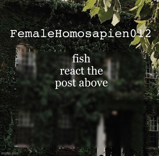 FemaleHomosapien012 | fish react the post above | image tagged in femalehomosapien012 | made w/ Imgflip meme maker