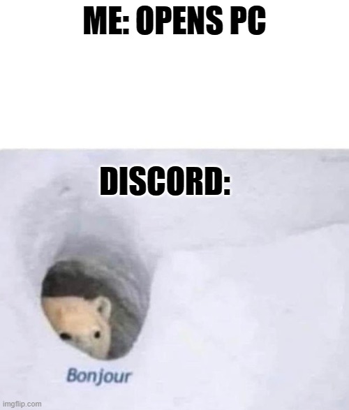 discord | ME: OPENS PC; DISCORD: | image tagged in bonjour,discord | made w/ Imgflip meme maker