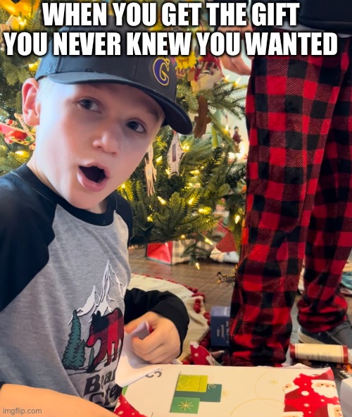 WHEN YOU GET THE GIFT YOU NEVER KNEW YOU WANTED | image tagged in christmas | made w/ Imgflip meme maker