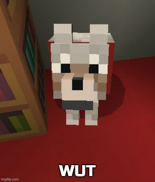 Minecraft Good Boy | WUT | image tagged in minecraft good boy | made w/ Imgflip meme maker