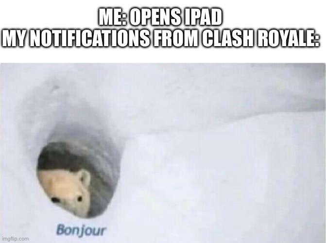 This is true | ME: OPENS IPAD

MY NOTIFICATIONS FROM CLASH ROYALE: | image tagged in bonjour bear | made w/ Imgflip meme maker