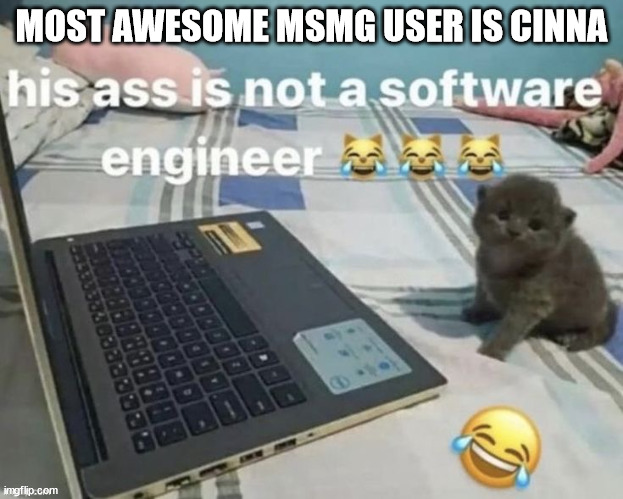 software engineer | MOST AWESOME MSMG USER IS CINNA | image tagged in software engineer | made w/ Imgflip meme maker