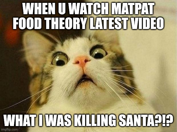 Scared Cat | WHEN U WATCH MATPAT FOOD THEORY LATEST VIDEO; WHAT I WAS KILLING SANTA?!? | image tagged in memes,scared cat | made w/ Imgflip meme maker