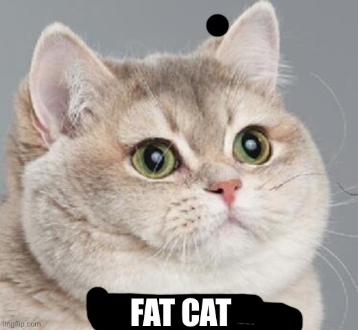 Heavy Breathing Cat | FAT CAT | image tagged in memes,heavy breathing cat,cats,fat | made w/ Imgflip meme maker