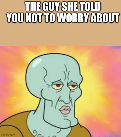 You stand no chance against this guy | THE GUY SHE TOLD YOU NOT TO WORRY ABOUT | image tagged in handsome squidward,memes,roast | made w/ Imgflip meme maker