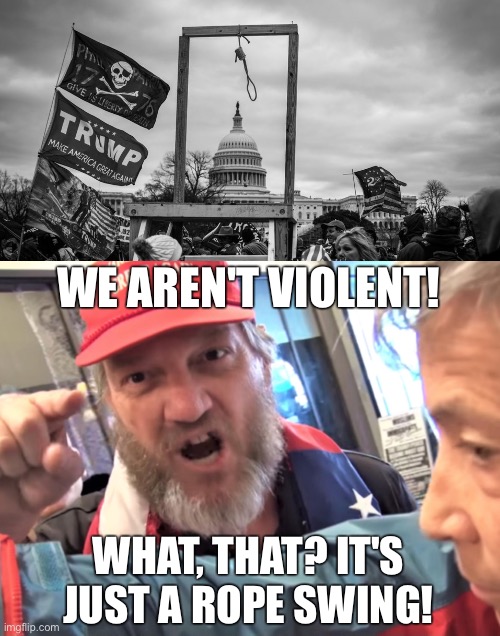WE AREN'T VIOLENT! WHAT, THAT? IT'S JUST A ROPE SWING! | image tagged in capitol hill riot gallows,angry trump supporter | made w/ Imgflip meme maker