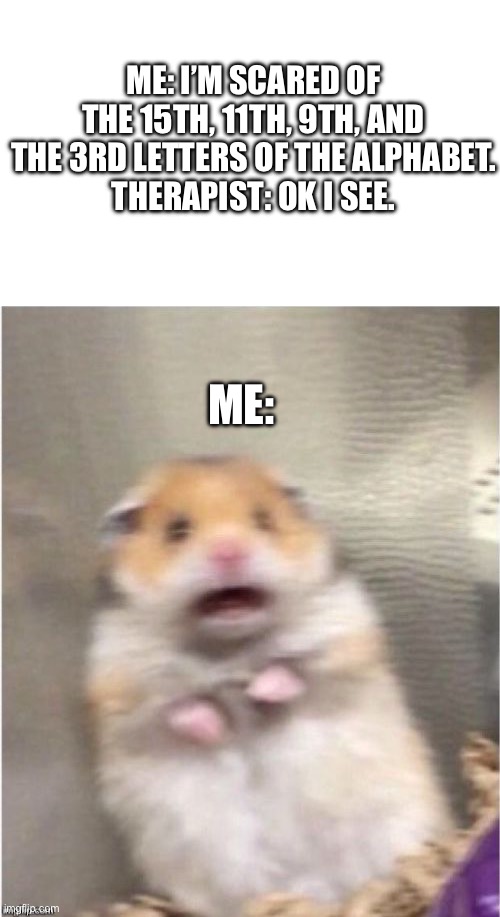 *screams* | ME: I’M SCARED OF THE 15TH, 11TH, 9TH, AND THE 3RD LETTERS OF THE ALPHABET.
THERAPIST: OK I SEE. ME: | image tagged in scared hamster | made w/ Imgflip meme maker