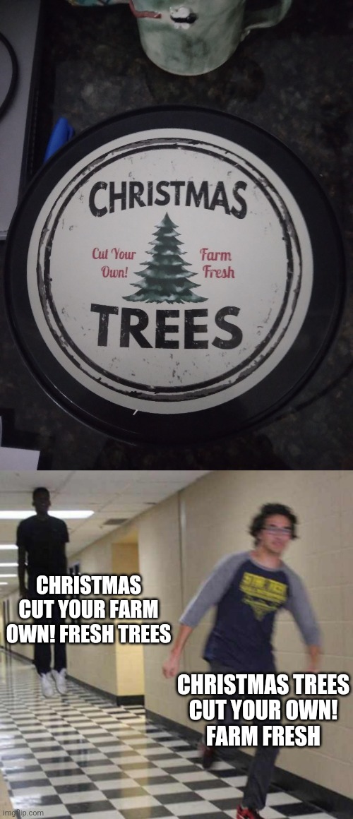 Clever wordplay | CHRISTMAS CUT YOUR FARM OWN! FRESH TREES; CHRISTMAS TREES
CUT YOUR OWN!
FARM FRESH | image tagged in floating boy chasing running boy | made w/ Imgflip meme maker