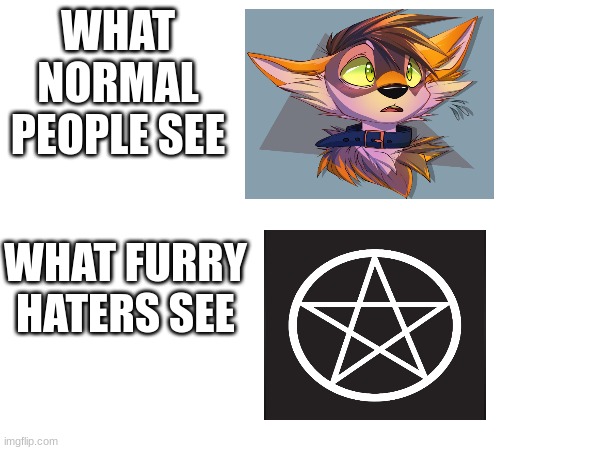 We see a fuzzy cartoon wolf, they see a terrifying demon from the deepest part of hell | WHAT NORMAL PEOPLE SEE; WHAT FURRY HATERS SEE | made w/ Imgflip meme maker