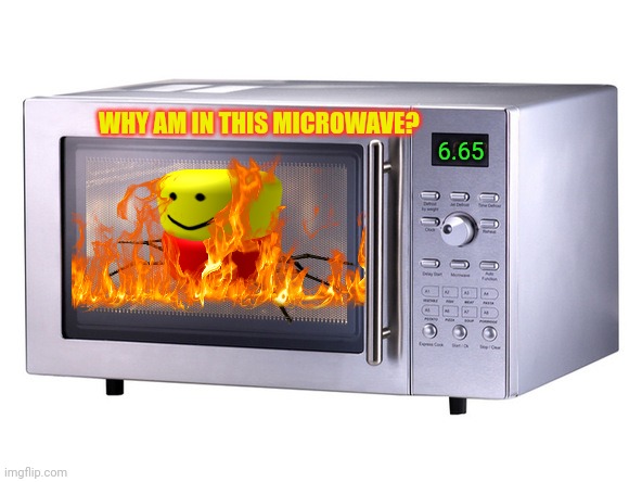 Average msmmgh meem | WHY AM IN THIS MICROWAVE? 6.65 | image tagged in microwave,stop it get some help | made w/ Imgflip meme maker