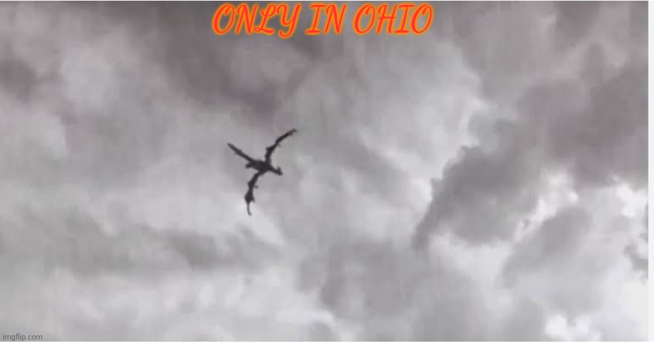 Only in Ohio | ONLY IN OHIO | image tagged in only in ohio | made w/ Imgflip meme maker