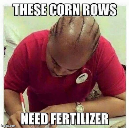 image tagged in puns | made w/ Imgflip meme maker