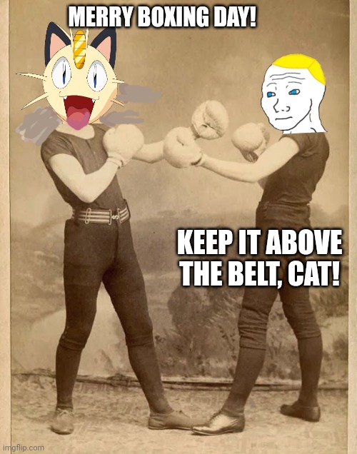 You British people still celebrate that crap rite? | MERRY BOXING DAY! KEEP IT ABOVE THE BELT, CAT! | image tagged in boxing day,boxing,i want you to hit me,as hard as you can | made w/ Imgflip meme maker