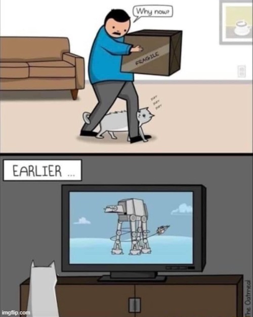 when cats learn from tv | image tagged in cats | made w/ Imgflip meme maker