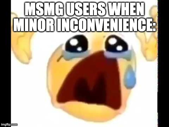 cursed crying emoji | MSMG USERS WHEN MINOR INCONVENIENCE: | image tagged in cursed crying emoji | made w/ Imgflip meme maker