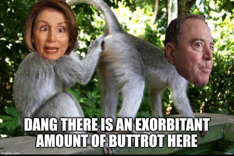 Nancy Pelosi and Adam Schiff | DANG THERE IS AN EXORBITANT AMOUNT OF BUTTROT HERE | image tagged in nancy pelosi and adam schiff | made w/ Imgflip meme maker