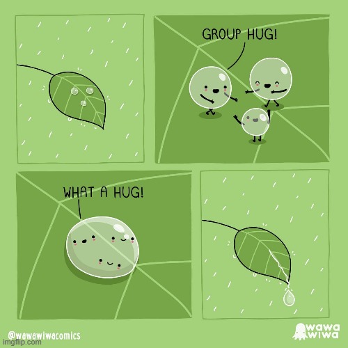 image tagged in rain,leaf,water | made w/ Imgflip meme maker