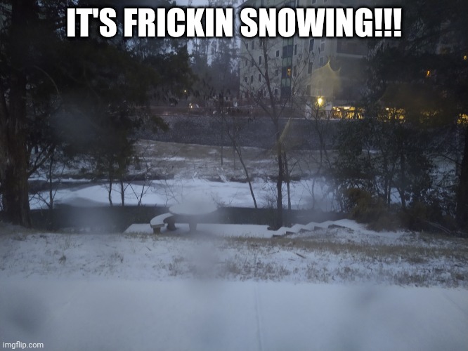 Hell yeahhhhh | IT'S FRICKIN SNOWING!!! | image tagged in snow,cold | made w/ Imgflip meme maker