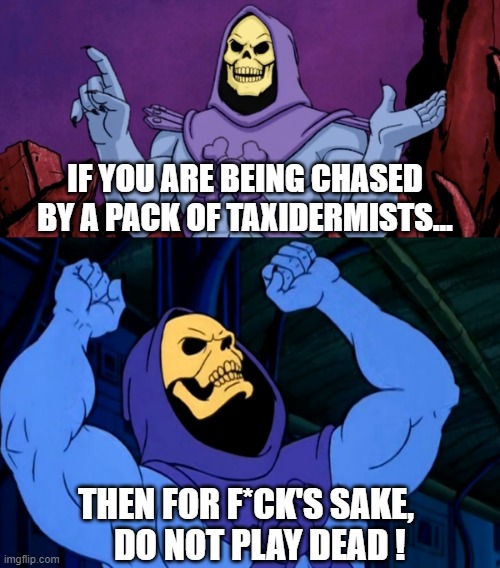 Skeletor talking about taxidermists | IF YOU ARE BEING CHASED BY A PACK OF TAXIDERMISTS... THEN FOR F*CK'S SAKE,     DO NOT PLAY DEAD ! | image tagged in skeletor,skeletor disturbing facts | made w/ Imgflip meme maker
