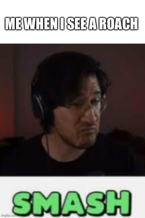 Markiplier Smash | ME WHEN I SEE A ROACH | image tagged in markiplier smash | made w/ Imgflip meme maker