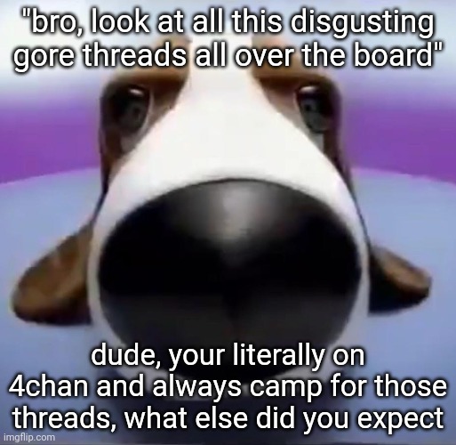 Staring Dog | "bro, look at all this disgusting gore threads all over the board"; dude, your literally on 4chan and always camp for those threads, what else did you expect | image tagged in staring dog | made w/ Imgflip meme maker